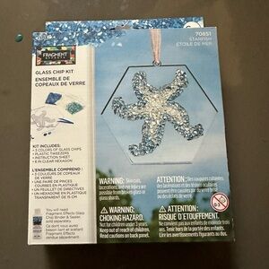 Fragment Starfish Glass Chip Kit
